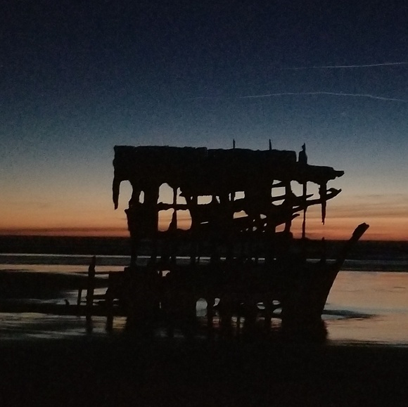 Meet your Posher, Terri & Team - Picture 3 of 7